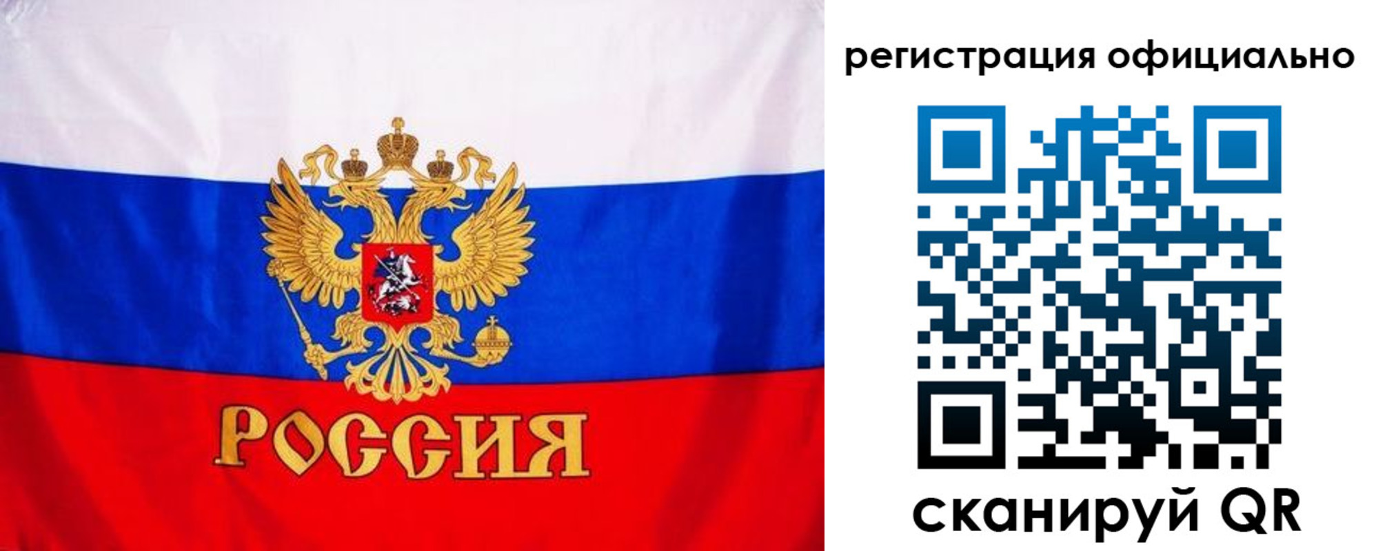 временная регистрация поиск в Курской области