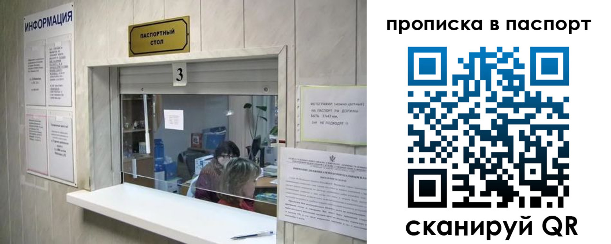 временная регистрация для школы в Курской области